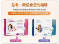 沈阳信德科技发展有限公司