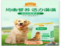 沈阳信德科技发展有限公司