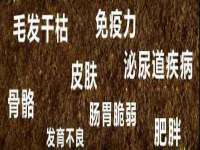 沈阳信德科技发展有限公司