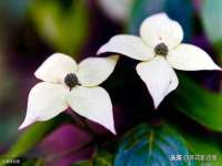 沈阳信德科技发展有限公司