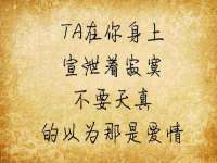 沈阳信德科技发展有限公司