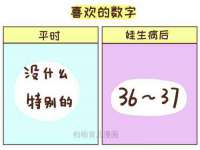 沈阳信德科技发展有限公司