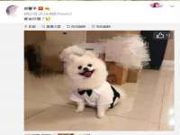 沈阳信德科技发展有限公司