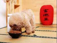 沈阳信德科技发展有限公司