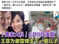 沈阳信德科技发展有限公司
