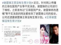 沈阳信德科技发展有限公司