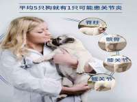 沈阳信德科技发展有限公司