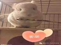 沈阳信德科技发展有限公司