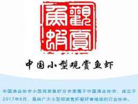 沈阳信德科技发展有限公司