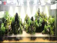 沈阳信德科技发展有限公司