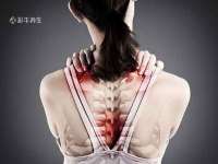 沈阳信德科技发展有限公司