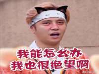 沈阳信德科技发展有限公司