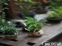 沈阳信德科技发展有限公司