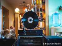 沈阳信德科技发展有限公司