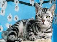 沈阳信德科技发展有限公司