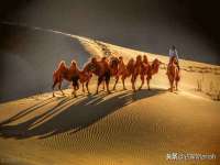 沈阳信德科技发展有限公司