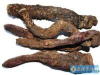 沈阳信德科技发展有限公司