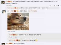 沈阳信德科技发展有限公司
