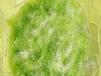 沈阳信德科技发展有限公司