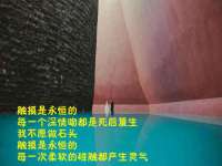沈阳信德科技发展有限公司