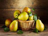 沈阳信德科技发展有限公司