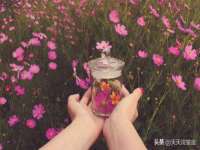 沈阳信德科技发展有限公司