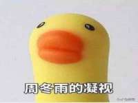 沈阳信德科技发展有限公司