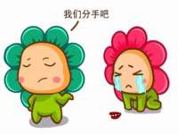 沈阳信德科技发展有限公司
