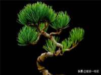 沈阳信德科技发展有限公司