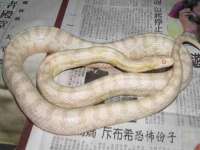 沈阳信德科技发展有限公司