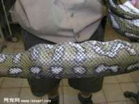 沈阳信德科技发展有限公司