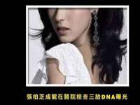 沈阳信德科技发展有限公司