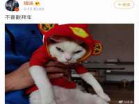 沈阳信德科技发展有限公司