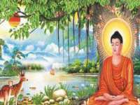 沈阳信德科技发展有限公司