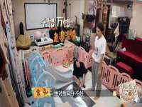 沈阳信德科技发展有限公司