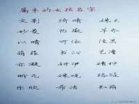 沈阳信德科技发展有限公司