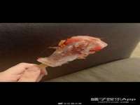 沈阳信德科技发展有限公司